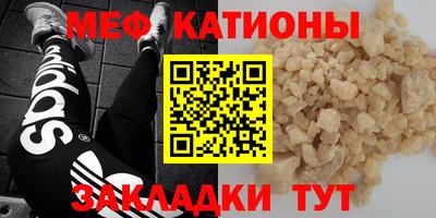 индика Гусев