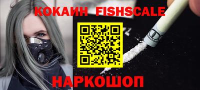 индика Гусев