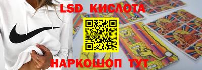 индика Гусев