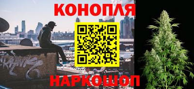 индика Гусев