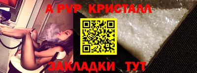 индика Гусев