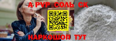 индика Гусев
