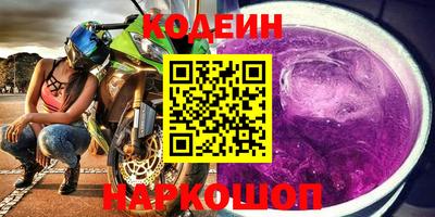 индика Гусев