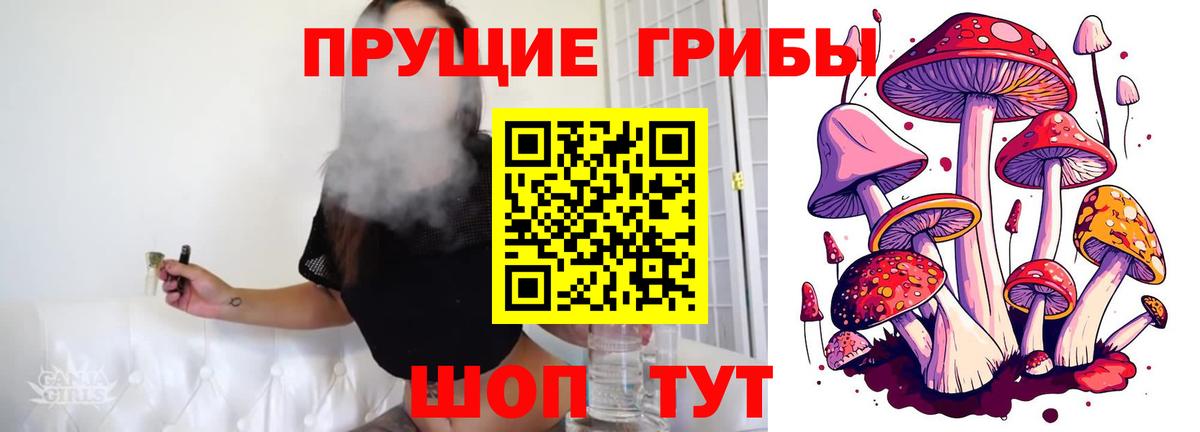 где можно купить наркотик  Вход с VPN  Нурлат  Псилоцибиновые грибы Magic Shrooms 